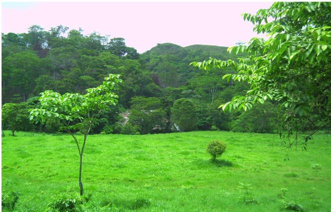 produccion agrícola